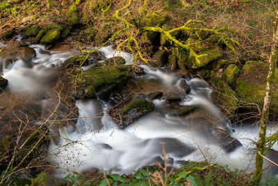 High angle view of the river flowing through the woods at watersmeet in devon