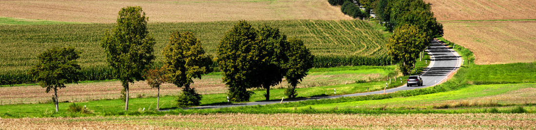 Scenic view of agricultural field