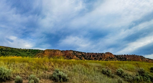 Scenic view of field against sky