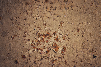 High angle view of footprints on sand