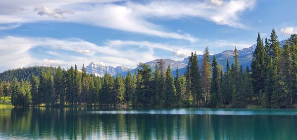 Scenic view of lake by trees against sky