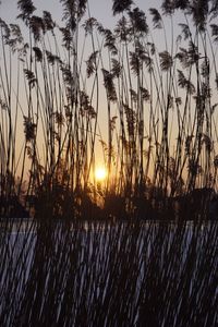 Scenic view of sunset over lake