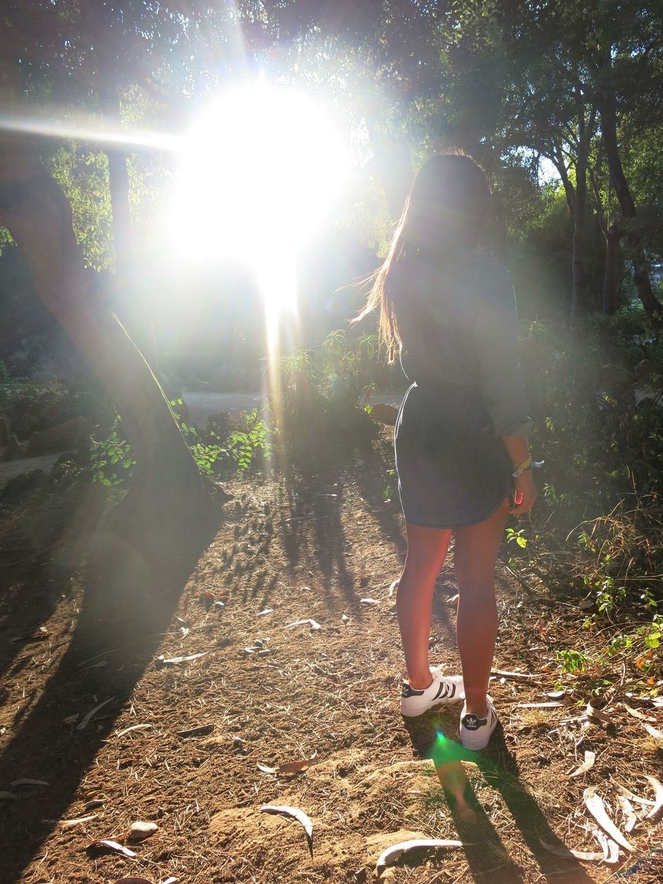 lifestyles, leisure activity, casual clothing, full length, tree, sunlight, childhood, standing, sunbeam, rear view, girls, outdoors, boys, water, day, nature, elementary age, person