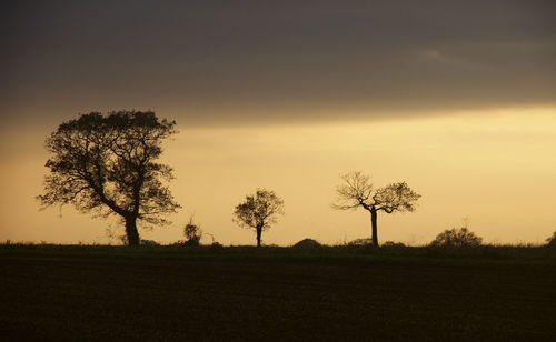 Silhouette trees on field against sky during sunset
