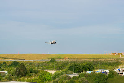 Airplane on field against clear sky