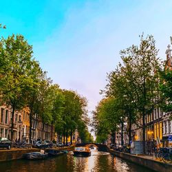 Canal amidst trees and buildings against sky