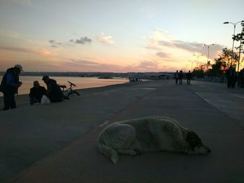 Scenic view of sea at sunset