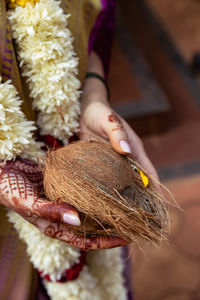 The indian bride's hands hold a holy coconut, symbolizing purity, prosperity, and divine blessings.