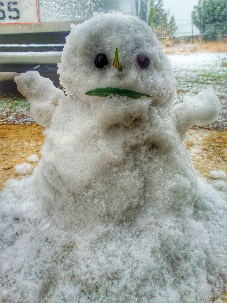 snow, winter, cold temperature, white color, human representation, covering, season, white, creativity, frozen, animal representation, close-up, weather, art and craft, art, day, focus on foreground, nature, sculpture, field