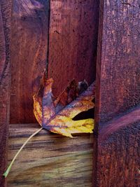 Close-up of wooden plank