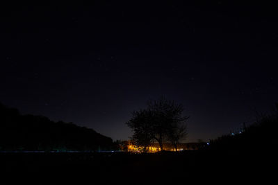 Silhouette trees against sky at night