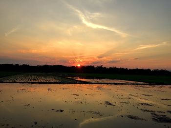 Scenic view of field against sky during sunset