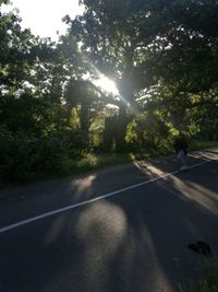 People walking on road amidst trees against sky