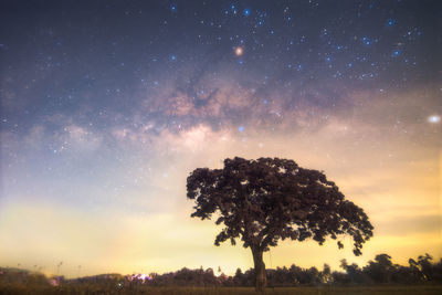 star