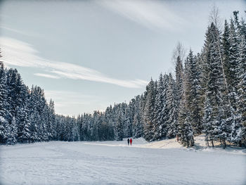 Panoramic view of snow covered field against sky during sunset