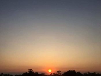 Silhouette trees against clear sky during sunset