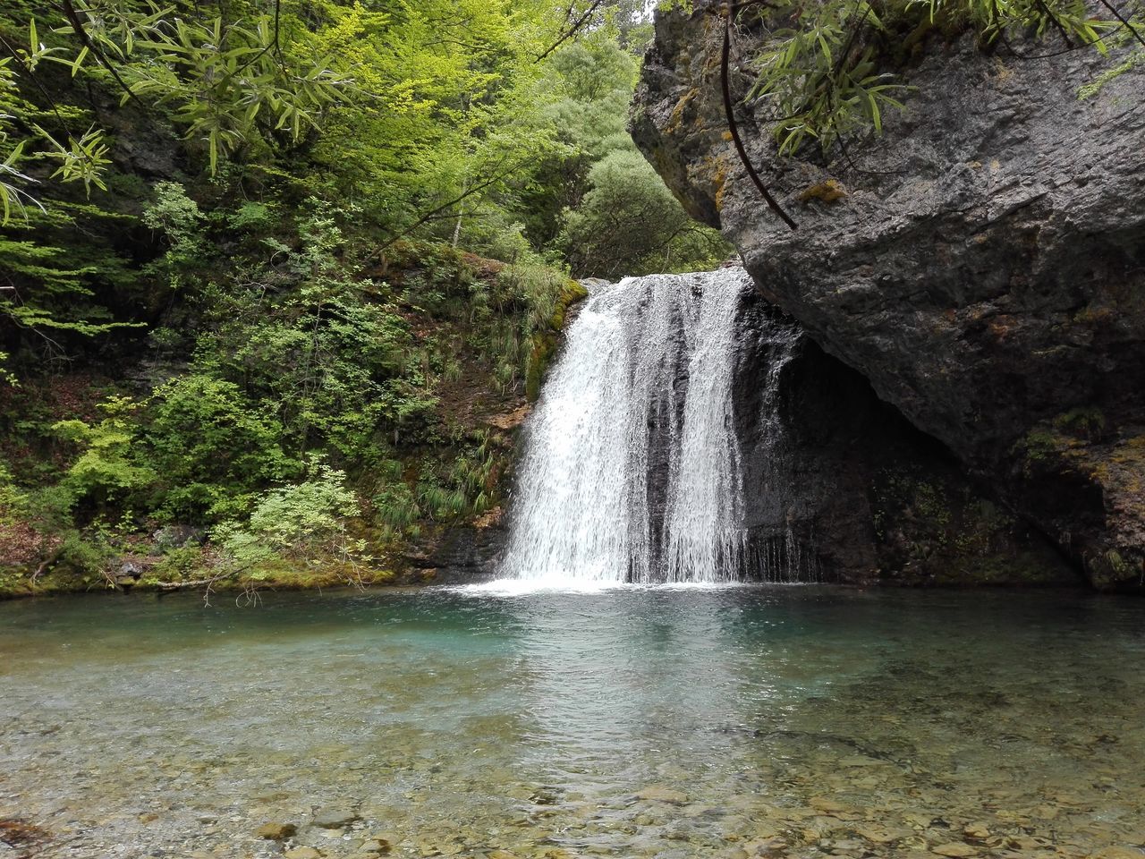 WATERFALL IN A FOREST