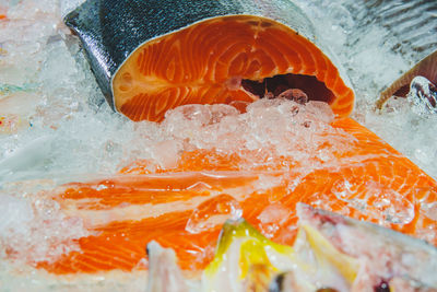 High angle view of orange fish in sea