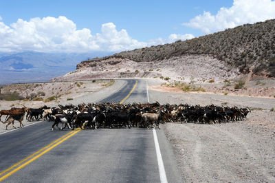 Scenic view of road by mountains against sky