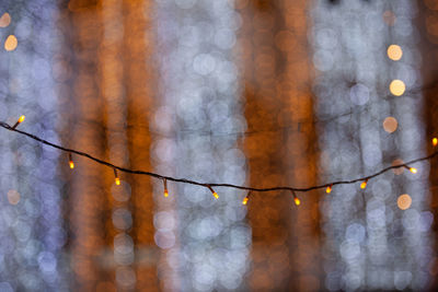 Close-up of illuminated tree during winter