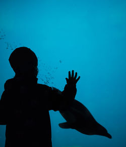 Silhouette of man swimming in aquarium