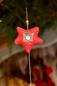 Close-up of christmas decoration hanging on tree