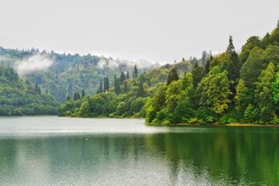 Scenic view of lake by trees against sky