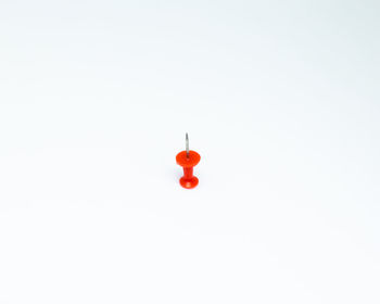 Close-up of red toy hanging over white background