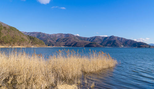 Scenic view of lake against blue sky