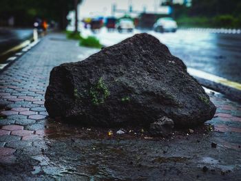 Close-up of wet rock on footpath in city