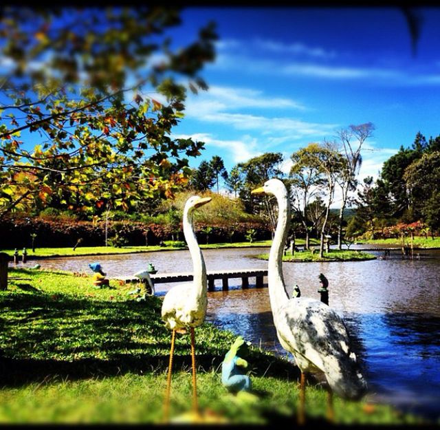 DUCKS BY LAKE AGAINST SKY