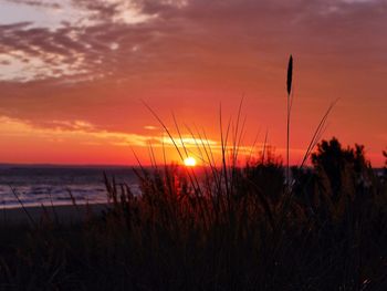 Scenic view of sunset over sea