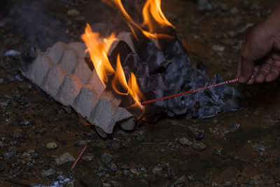 Campfire burning on wood