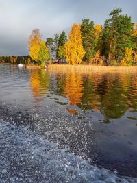 Trees by lake against sky during autumn