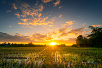 Scenic view of field against sky during sunset