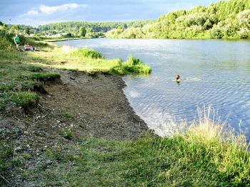 View of birds in lake