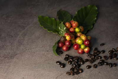 Close-up of tomatoes on table