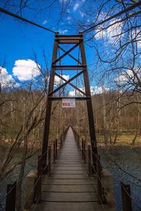 Footbridge over bare trees