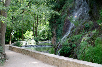 Scenic view of waterfall amidst trees
