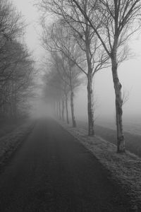 Road passing through trees