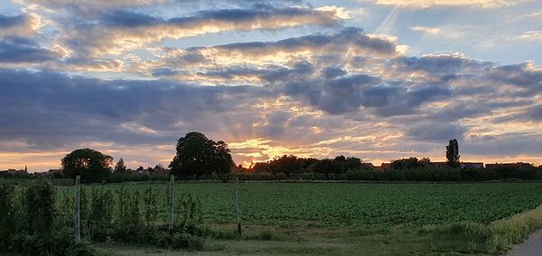 Scenic view of field against sky at sunset