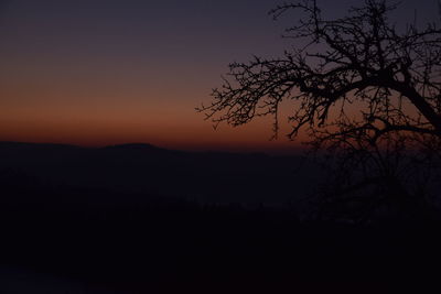 Silhouette tree against sky at sunset