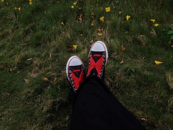 Enjoy the view before sunset with a pair of shoes on the green grass field. 