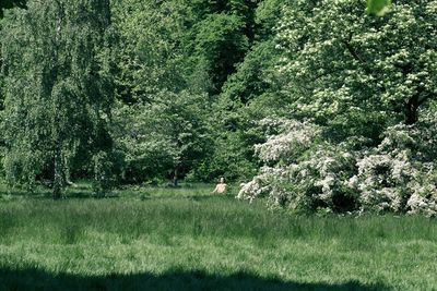 Man meditating on field during sunny day