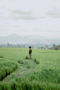 Rear view of man standing on field against sky