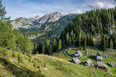 Scenic view of trees and mountains against sky