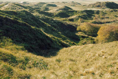 High angle view of landscape