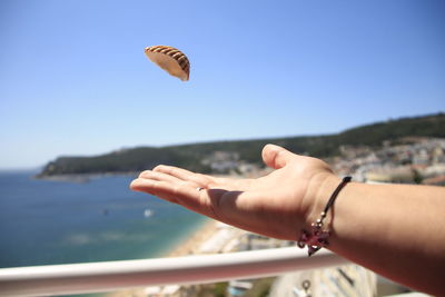 Cropped hand of woman playing with seashell at beach