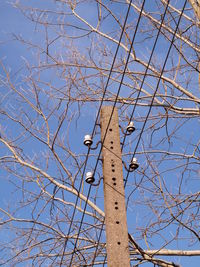 Low angle view of bare tree against blue sky