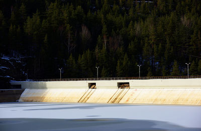 Frozen lake by dam against trees growing in forest